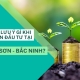 Cần lưu ý gì khi chọn đầu tư tại Từ Sơn – Bắc Ninh?